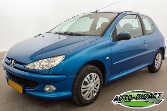 Vaurioauto  passenger cars Peugeot 206 1.4 Forever 2007/7