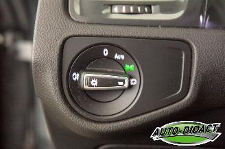 Volkswagen e-Golf 36 kWh Navi Camera Clima picture 14
