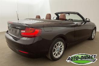 BMW 2-serie Cabrio 218i Navi Leder Airco picture 4