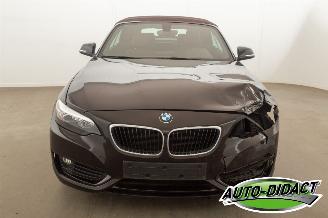 BMW 2-serie Cabrio 218i Navi Leder Airco picture 37