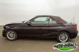BMW 2-serie Cabrio 218i Navi Leder Airco picture 40