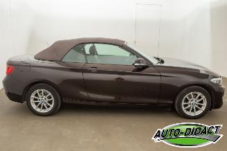 BMW 2-serie Cabrio 218i Navi Leder Airco picture 41