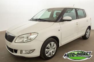  Skoda Fabia Automaat - Airco - 1.2 2014/5