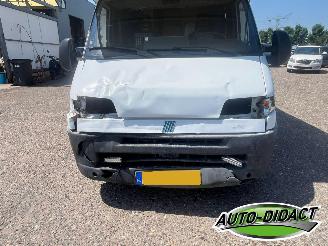 Hymer  Swing 644 - Fiat 230 picture 12