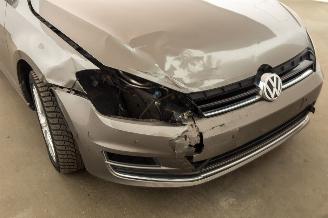 Volkswagen Golf 1.6 TDI Clima Navi Highline picture 37