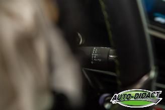 Peugeot e-208 50 kWh Pano EV GT 350 20.099 km NAP picture 19