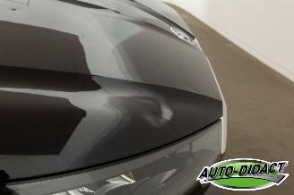 Skoda Enyaq 80 kWh Nvi Camera iV 80 Limited Edition picture 35