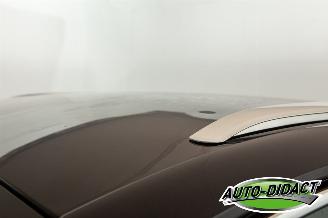 Skoda Enyaq 80 kWh Nvi Camera iV 80 Limited Edition picture 32