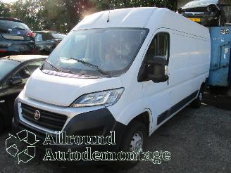 disassembly passenger cars Fiat Ducato Ducato (250) Van 2.3 D 130 Multijet (F1AGL411D(Euro 6)) [96kW]  (08-20=
06/...) 2017