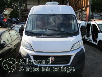 Fiat Ducato Ducato (250) Van 2.3 D 130 Multijet (F1AGL411D(Euro 6)) [96kW]  (08-20=
06/...) picture 3