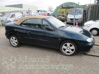 Renault Mégane Megane (EA) Cabrio 1.6 16V Sport (K4M-701) [79kW]  (03-1999/07-2003) picture 17