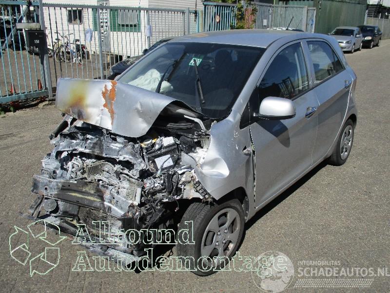 Kia Picanto Picanto (TA) Hatchback 1.2 16V (G4LA5) [63kW]  (09-2011/06-2017)