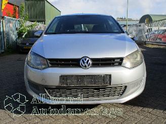 Volkswagen Polo Polo V (6R) Hatchback 1.2 12V (CGPB(Euro 5)) [44kW]  (06-2009/05-2014)= picture 6