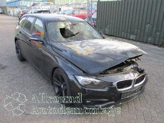 BMW 3-serie 3 serie Touring (F31) Combi 316d 2.0 16V (B47-D20A) [85kW]  (11-2012/0=
6-2019) picture 2