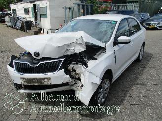 Purkuautot passenger cars Skoda Rapid Rapid Liftback 1.2 TSI (CBZA) [63kW]  (07-2012/05-2015) 2014