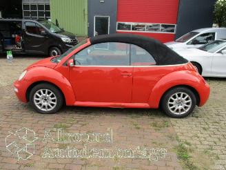 Volkswagen New-beetle New Beetle (1Y7) Cabrio 1.6 (BFS) [75kW]  (01-2003/09-2010) picture 8