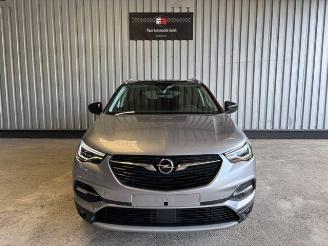 Opel Grandland (X) 120 Jahre R-Kamera / Navi / LED picture 8