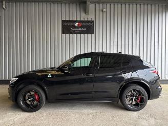 Alfa Romeo Stelvio Quadrifoglio Q4 Carbon / Pano / VOLL picture 3