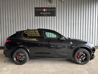 Alfa Romeo Stelvio Quadrifoglio Q4 Carbon / Pano / VOLL picture 7