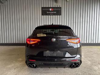 Alfa Romeo Stelvio Quadrifoglio Q4 Carbon / Pano / VOLL picture 5