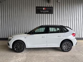 Skoda Kamiq Selection Tour DSG picture 3