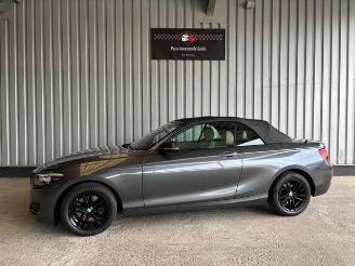 Tweedehands auto BMW 2-serie 0d Advantage Cabriolet LED / Navigation 2018/9