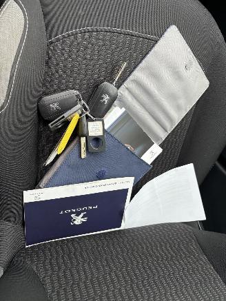 Peugeot 208 1.2 PureTech Blue Lion picture 24