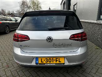 Volkswagen e-Golf E-Golf picture 18