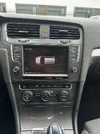 Volkswagen e-Golf E-Golf picture 8