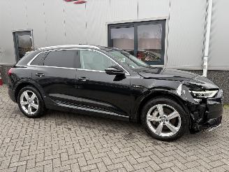 Audi E-tron 55 Quattro Advanced Pro Line Plus 95kWh picture 14