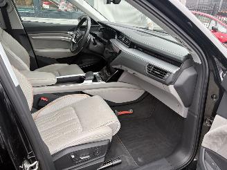 Audi E-tron 55 Quattro Advanced Pro Line Plus 95kWh picture 7