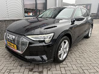 Audi E-tron 55 Quattro Advanced Pro Line Plus 95kWh picture 3