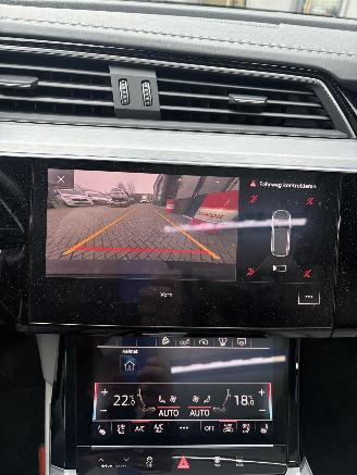 Audi E-tron 55 Quattro Advanced Pro Line Plus 95kWh picture 49