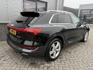 Audi E-tron 55 Quattro Advanced Pro Line Plus 95kWh picture 10