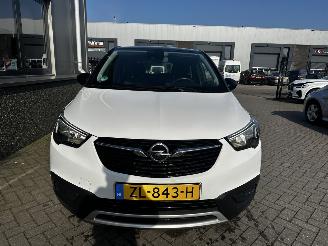 Opel Crossland 1.2 120 Jaar Edition picture 14