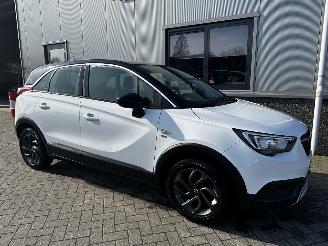 Opel Crossland 1.2 120 Jaar Edition picture 8