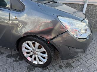 Opel Meriva 1.4 Turbo Cosmo picture 23