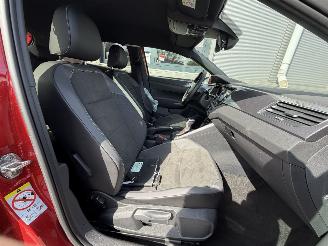 Volkswagen Polo 2.0 TSI GTI picture 24