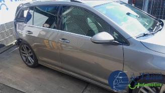 Volkswagen Golf Golf VII Variant (AUVV), Combi, 2013 / 2021 1.6 TDI BlueMotion 16V picture 9