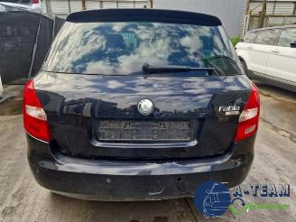 Skoda Fabia Fabia II (5J), Hatchback 5-drs, 2006 / 2014 1.6i 16V picture 14