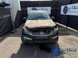 Ssang yong Rexton Rexton W, SUV, 2012 / 2017 2.2 RX 220 E-XDI 16V 4WD picture 2