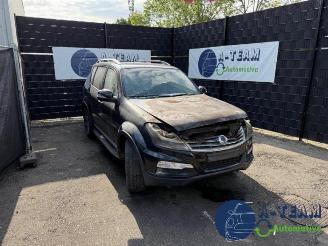 Démontage voiture Ssang yong Rexton Rexton W, SUV, 2012 / 2017 2.2 RX 220 E-XDI 16V 4WD 2017/11