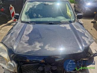 Nissan X-Trail X-Trail (T31), SUV, 2007 / 2013 2.5 16V SE,LE 4x4 picture 14