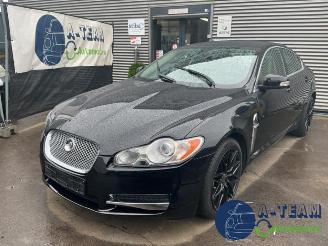 Auto da rottamare Jaguar XF XF (CC9), Sedan, 2008 / 2015 3.0 V6 24V 2009/1