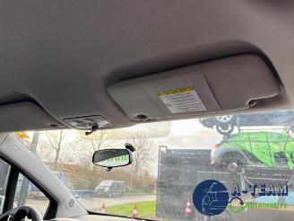 Opel Meriva Meriva, MPV, 2010 / 2017 1.4 16V Ecotec picture 23