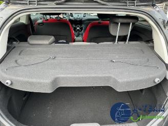 Ford Fiesta Fiesta 6 (JA8), Hatchback, 2008 / 2018 1.0 EcoBoost 12V 125 picture 31