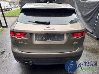 Jaguar F-Pace F-Pace, SUV, 2015 / 2025 2.0 D 180 16V AWD picture 7
