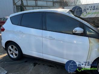Ford C-Max C-Max (DXA), MPV, 2010 / 2019 1.0 Ti-VCT EcoBoost 12V 125 picture 13