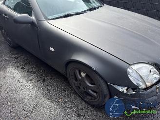 Mercedes SLK SLK (R170), Cabrio, 1996 / 2004 2.0 200 16V picture 33
