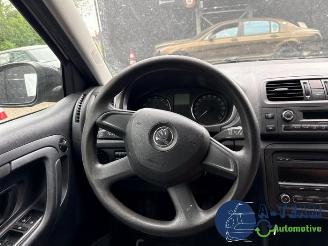 Skoda Fabia Fabia II Combi, Combi 5-drs, 2007 / 2014 1.2 TSI picture 22